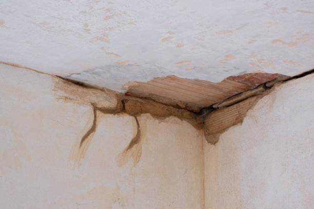 Best Residential water damage restoration  in Rock Hill, SC