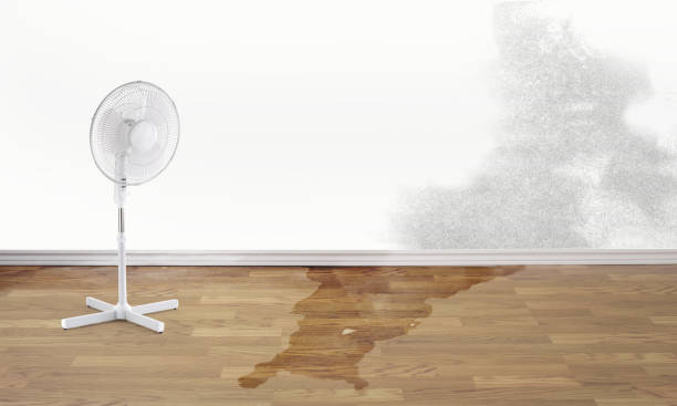 Best Water damage restoration insurance claims  in Rock Hill, SC
