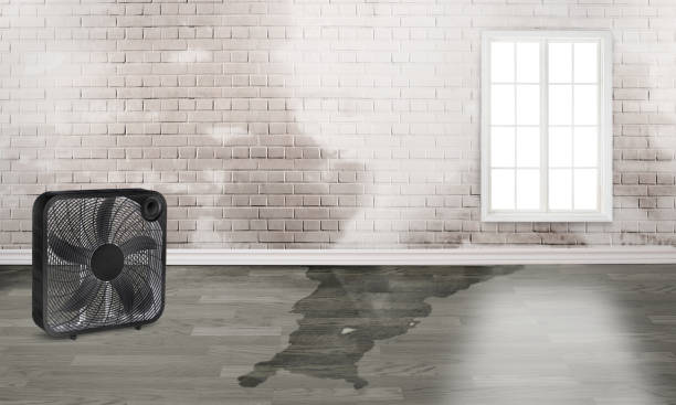 Best 24/7 water damage repair  in Rock Hill, SC