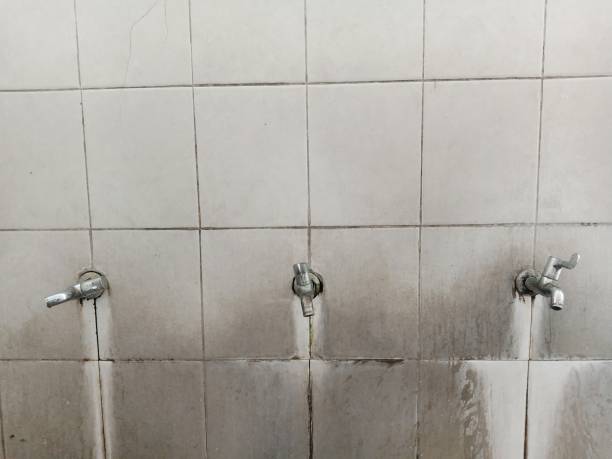 Best Carpet water damage restoration  in Rock Hill, SC