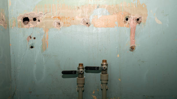 Best Water damage cleanup near me  in Rock Hill, SC