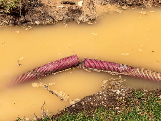 Best Sewage cleanup and water damage restoration  in Rock Hill, SC